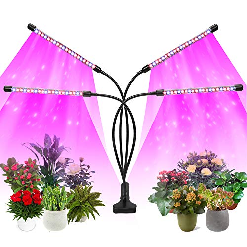 Felibeaco Plant Grow Lights for Indoor Plants Full Spectrum,80 LED Plant Lights for Indoor Growing with Timer, 4 Head Clip Indoor Plant Grow Lamp for House Plants with 3 Lighting Mode/10 Brightness
