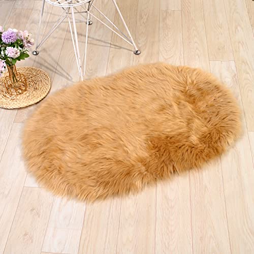 Ultra Soft 2 x 3 Feet Faux Fur Area Rug,