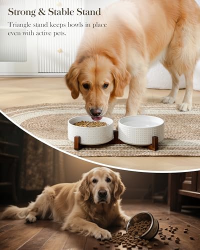 Image of MALACASA Dog Bowl Set, Ceramic Bowls with Walnut Wood Stand, 6 Cups