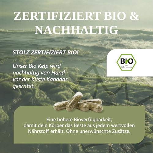 MAISON NATURELLE® JOD aus Bio Kelp (365 Stück) - 100% Kelp Kapseln, Extrakt aus Braunalgen ohne Zusätze – optimal dosiert mit 195 µg natürlichem Jod je Kapsel, Tabletten