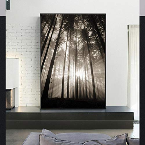 Toile forêt et soleil moderne affiche murale sans cadre 60x80cm