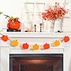 Fall Decor-Fall Decorations for Home-Felt Pumpkins Wood Bead Garland for Fall Decor- Halloween Thanksgiving Farmhouse Felt Pumpkins Banner for Fireplace Mantel Walls #3