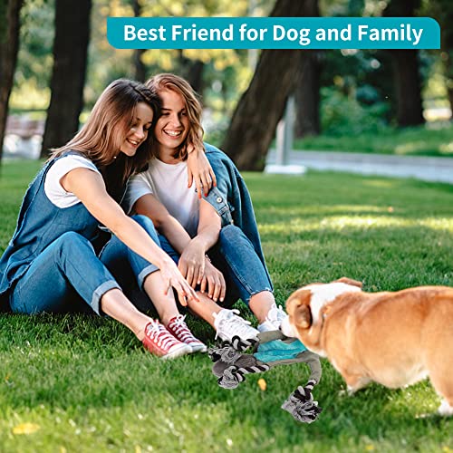 Lalfpet Stuffingless Squeaky Dog Toys,Plush Fox Dog Toy With Crinkle Paper, Crinkle Dog Toy With Rope Legs,No Stuffing Dog Chew Toys For Small Medium Dogs,Tug-Of-War Dog Toy,Gray (Pto_0X6Xoto0) #TOP6