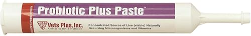 Vet's Plus 048653 Probiotic Plus Pasta, 10.1 fl oz