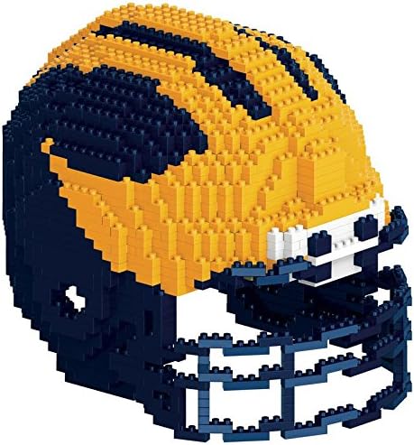 Michigan 3D Brxlz - Helmet