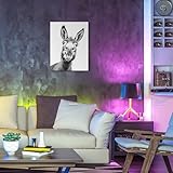 JBER Esel Leinwand Gemälde Wandkunst, geeignet für Badezimmer Dekoration, Poster Home Decor, lustige Tier Dekoration, gerahmt, 40 X 30cm