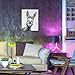JBER Esel Leinwand Gemälde Wandkunst, geeignet für Badezimmer Dekoration, Poster Home Decor, lustige Tier Dekoration, gerahmt, 40 X 30cm