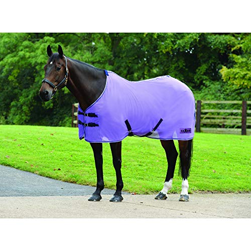 6 Best AntiSweat Sheet for Horses (2023 Expert Review)