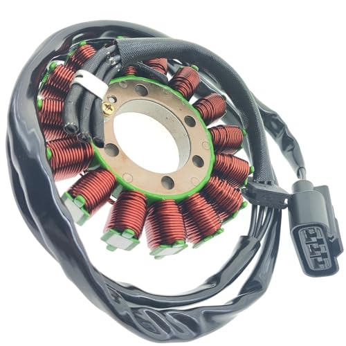 Stator de bobine d'allumage résout les pannes de démarrage S1000RR et S1000XR