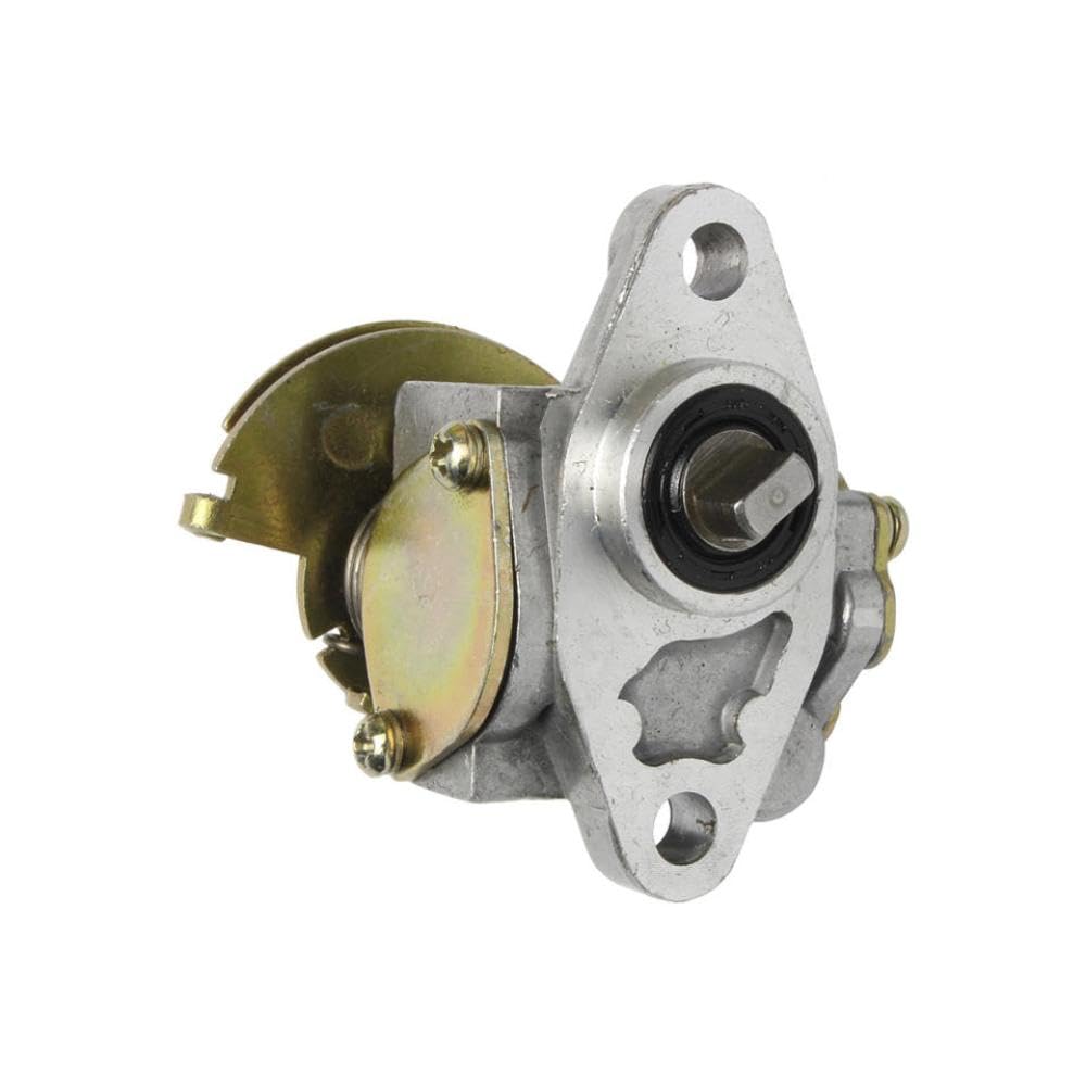 Ölpumpe Assy kompatibel mit 350 638 640 50cc Buxy50 Trekker Speedfight 1 und 2 vor 2003 Lebendigkeit 50cc -Rollerteile