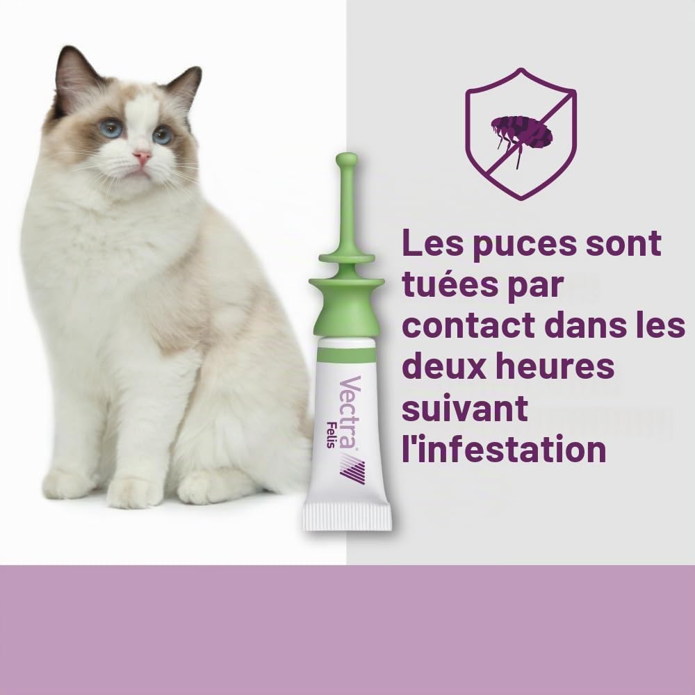 Vectra Felis Antiparasitaire pour Chats, 3 pipettes Anti-puces en Solution Spot-on pour Chatons et Chats Adultes, Traitement et prévention des puces Chat