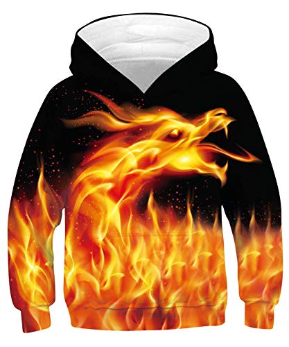 funny pullover hoodies