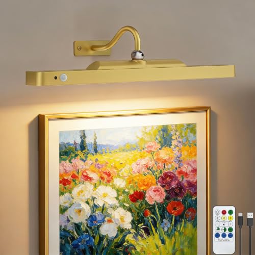 TANBABY Rechargeable Picture Light for Wall Motion Sensor Gold 1 Pack