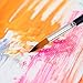 Dog Cone for Watercolor Brushes Large Dog,Soft Dog Cone-XXL