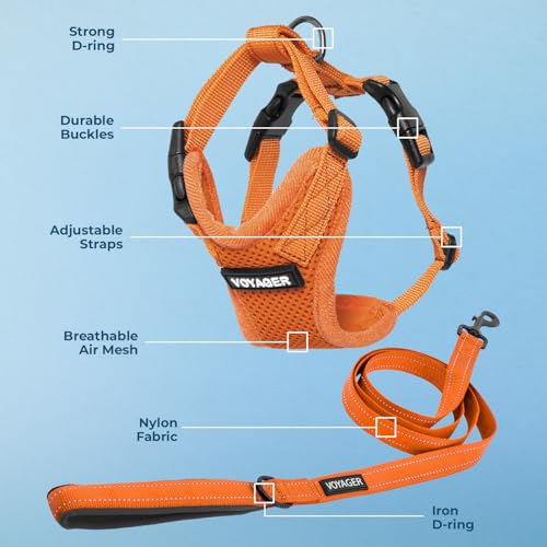 Image of Best Pet Supplies Voyager Step-in Lock Pet Harness w Reflective Pet Leash Combo Set with Neoprene Handle 5ft - Supports Small, Medium and Large Breed Puppies /Cats - Orange Set, XL