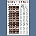 Tenor 4 String Banjo Fingerboard Notes & Chord Poster Wall Chart 11x17 | A New Song Music