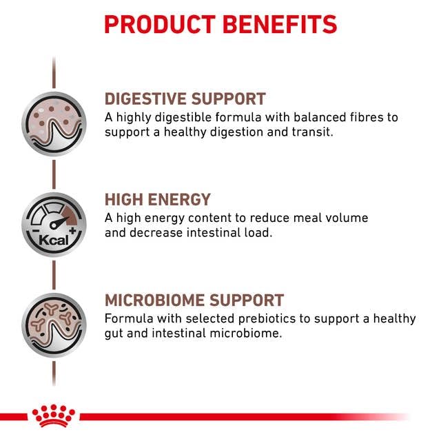Royal Canin Gastrointestinal Feline | 3er Pack | 3 x 400 g | Trockenfutter für Katzen | Kann unterstützend helfen bei gastrointestinalen Erkrankungen bei Katzen | Hohe Akzeptanz