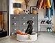 greemotion Hundebett aus weißem Polyrattan mit Kissen, ca. 85 x 25 x 75 cm