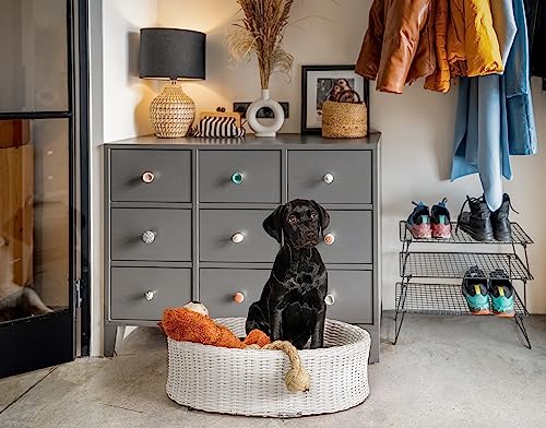greemotion Hundebett aus weißem Polyrattan mit Kissen, ca. 85 x 25 x 75 cm