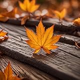 Before the Rain Falls