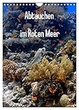 Abtauchen im Roten Meer (Wandkalender 2026 DIN A4 hoch), CALVENDO Monatskalender