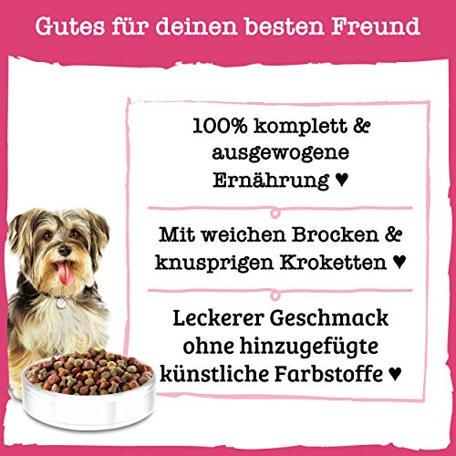 PURINA BENEFUL Kleine Genießer Hundefutter trocken für kleine Rassen, mit Rind, 6er Pack (6 x 1,4kg)