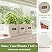 PERFNIQUE Indoor Herb Garden, Herb Planter Set with Tray, Farmhouse Indoor Plant Pots, Windowsill Herb Garden with Drainage(Planter only) for Indoor/Outdoor, Window Pots(White)