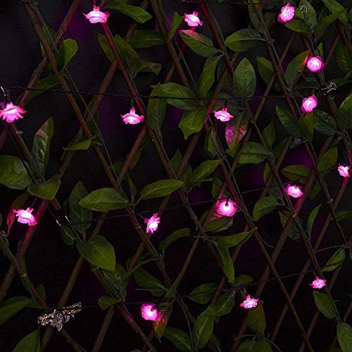 Amzstar 30Led Rose Flower Solar Strings Lights, Waterproof Outdoor Lights Solar Fairy Lights 20Ft Led Flower Lights Decoration Lights For Outdoor,Lawn,Wedding,Patio,Party (Pink) #TOP2