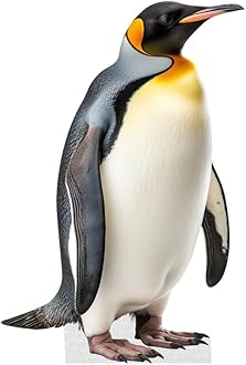 Penguin - Life Size Cardboard Cutout Standup People with Support Standee | Animals -