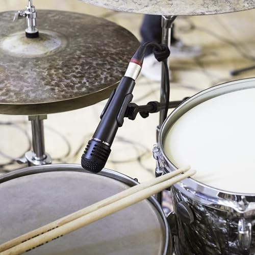 Image of LEWITT MTP 440 DM Dynamic Instrument Microphone