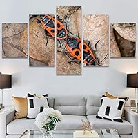 SIGNWIN 5 Panel Canvas Wall Art Modern Art Ants Butterfly Colorful Insects Minimalist Multicolor Photography for Home Decorations Ready to Hang - 60