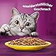 Whiskas 7+ Katzenfutter Geflügel in Sauce, 28x85g (1 Packung) – Hochwertiges Nassfutter ab dem 7. Lebensjahr in 28 Portionsbeuteln – Für die Bewahrung der Vitalität