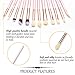 Qivange Eye Makeup Brushes, Eyeshadow Concealer Eyeliner Makeup Brush Set with Portable Pouch (12pcs, Pink with Rose Gold)