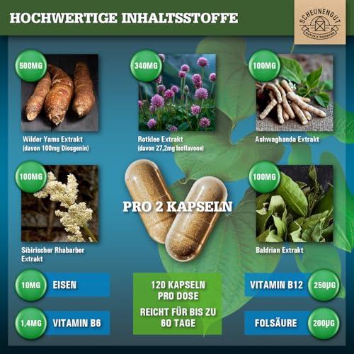 MENO INTENSO® korijen batusa - VAŽNO: Menopause kapsule s visokim dozama korijena batata, crvene djeteline, ashwagandhe, rabarbare, željeza, vitamina B9 + B12 -Meno kompleks - 120 komada DE SCHEUNENGUT®