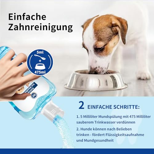 Pcpetclear - Mundwasser Für Hunde Und Katzen - Zahnsteinentferner - Trinkwasserzusatz - Schützt vor Plaque Und Zahnstein - Frischer Atem - Keine Bürste Erforderlich - 380ml Stück (1)