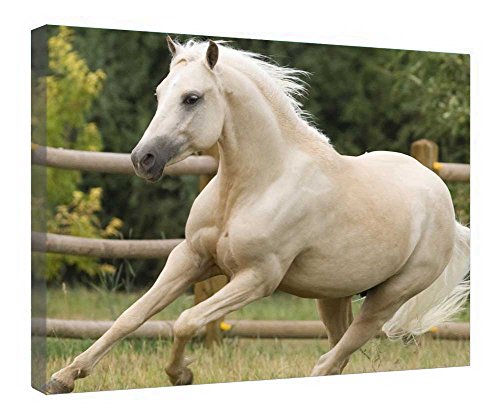 Toile de cheval au galop avec cadre en bois durable pour chambre