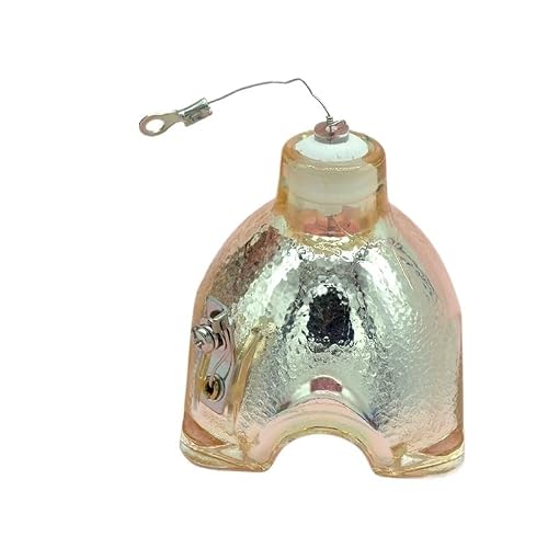 �v���W�F�N�^�[�����v VPL-EW5 CX135/CX150/CX155/CX165/ES5/EX5 �ɓK���Ă��܂��B