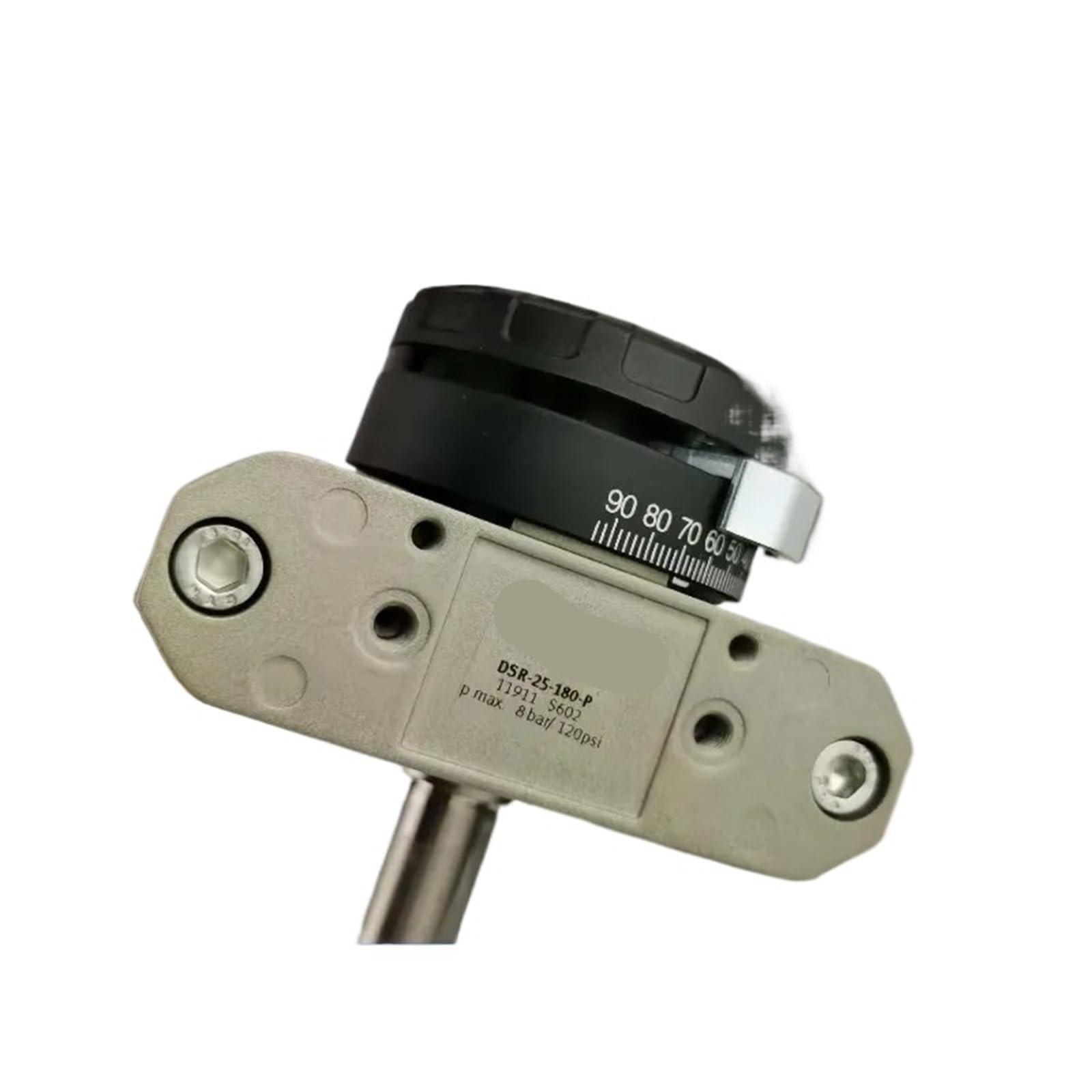 RISWEKFW 1PCS Parts for Swing Cylinders DSR/DSRL- 12/16/25/32/40-180 -P-FW 11911(DSR-12-180-P)