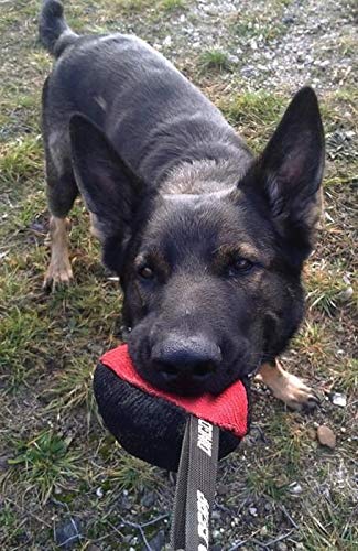 Dingo Gear Trainings-Spielzeug Nylcott French Material Training Spiel Apport IGP Obedience Apporte Spiel für Hund Klein Bäll, Rot S02780
