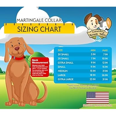 Country Brook Petz - Clovers in The Wind Ribbon Martingale Dog Collar (3/4 Inch, Small)
