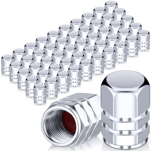 Tallew 50 Pcs Tire Valve Stem Caps Hexagon Tires Universal Heavy-Duty Valve caps Leak Proof Aluminum Alloy Stem Cover for Car SUV Truck Bicycle Motorcycles Bikes Wheel(Silver)