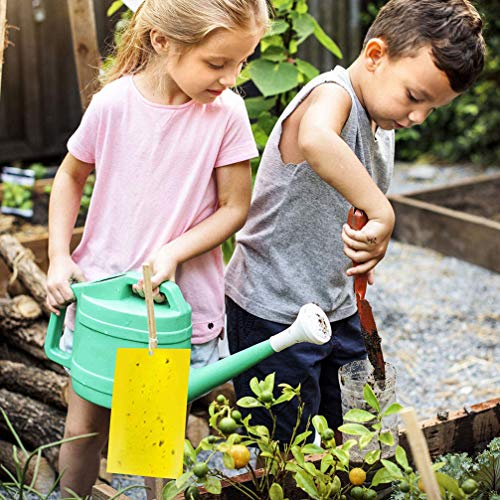 Yardwe 30Pcs Placas de Cola De Insetos Armadilhas de Cola de Insetos Armadilhas da Mosca Armadilhas