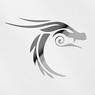 Decal Stickers of Animal Dragon Drawing (Metallic Silver) (Set of 2) Premium Waterproof Vinyl Decal Stickers for Laptop Phone Accessory Helmet Car Window Mug Tuber Cup Door - ANDstic077483SI
