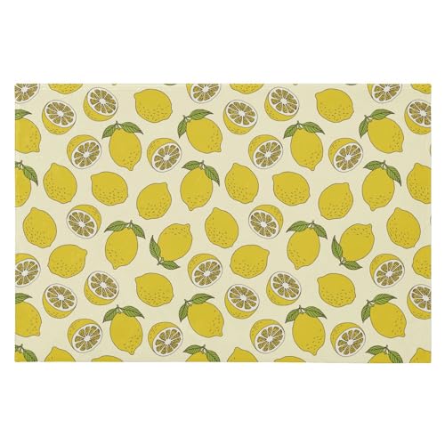 SAMAU  փ}bg  [ ӂӂ hA}bg DƂ ~ O Ɩp ItBXp ƒp 唻 60*90CM