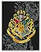 Plaid Harry Potter Noir Grand Format