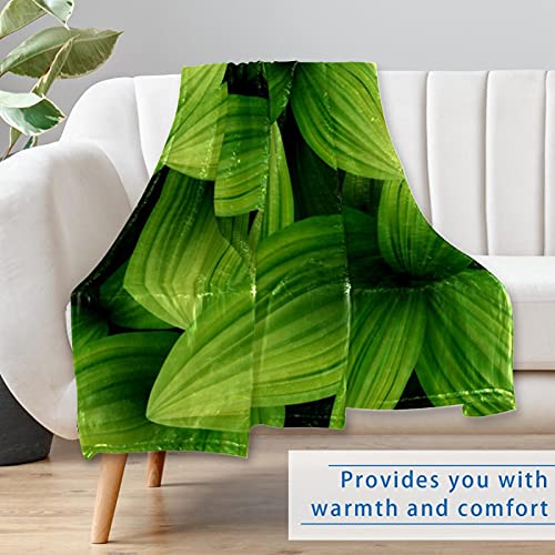 Couverture douce contre le froid pour des nuits chaudes sur le lit