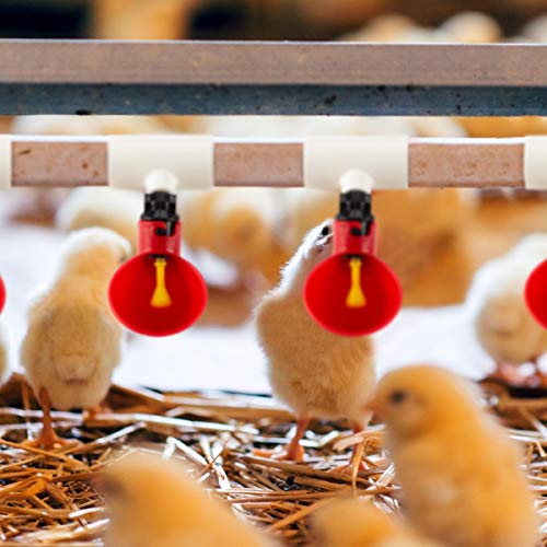 Automatic Poultry Drinking Cups-6 Pack Chicken Waterer Drinking Cups And 6 Pack Chicken Waterer Pvc Tee Fittings For Chicken Quail Duck #TOP3