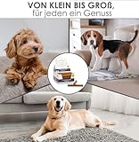 123... Hund dabei! - Kaurollen XXL 50er Tray (Hermetia/Insekten) - Dentalkaurolle - Glutenfrei - Vorteilspaket - Kaustangen für Hunde - Kausticks - Zahnpflege - Kaurollen für Hunde