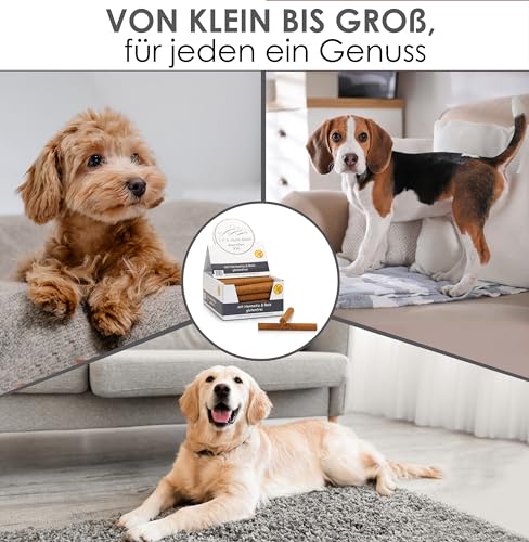 123... Hund dabei! - Kaurollen XXL 50er Tray (Hermetia/Insekten) - Dentalkaurolle - Glutenfrei - Vorteilspaket - Kaustangen für Hunde - Kausticks - Zahnpflege - Kaurollen für Hunde