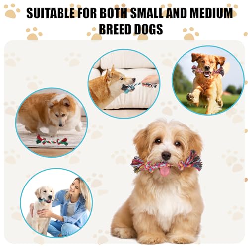 eggigi 60 peças de corda de nó multicolorido, brinquedos para mastigar para cachorros, brinquedo de